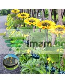 Градинска LED лампа със соларен панел Слънчоглед